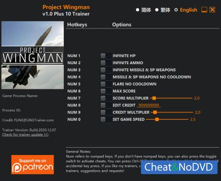 Project Wingman  Trainer +10 v1.0 {FLiNG}